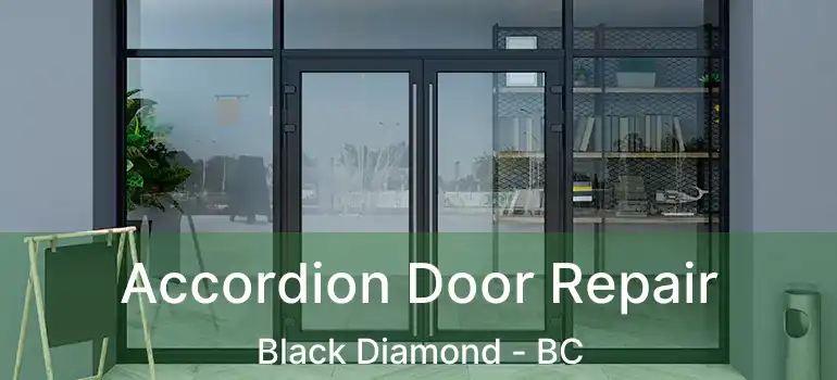  Accordion Door Repair Black Diamond - BC