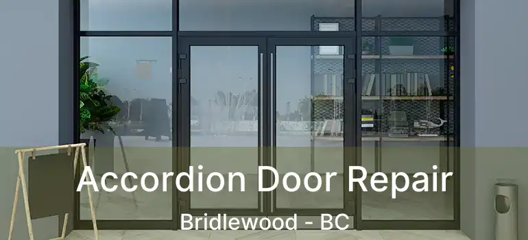  Accordion Door Repair Bridlewood - BC
