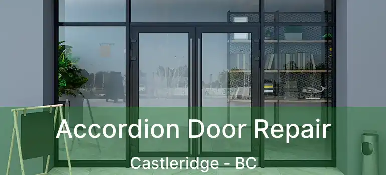  Accordion Door Repair Castleridge - BC