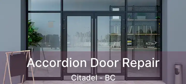  Accordion Door Repair Citadel - BC