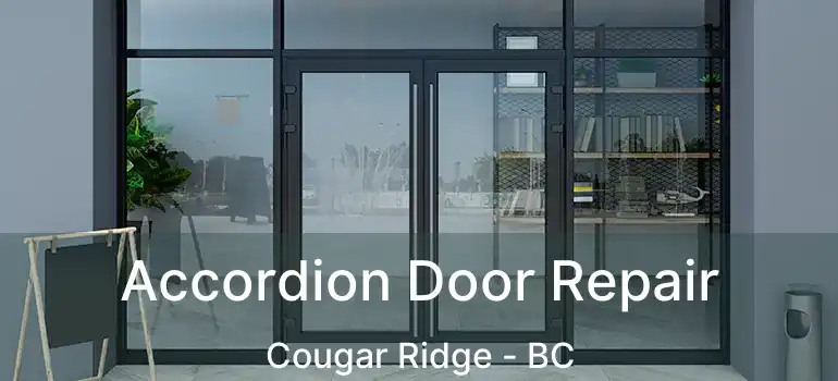  Accordion Door Repair Cougar Ridge - BC