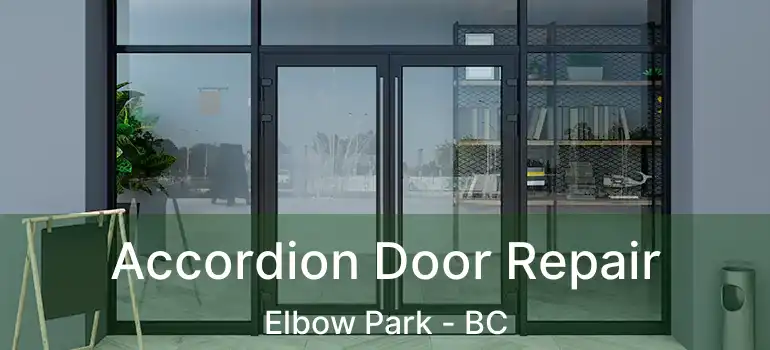  Accordion Door Repair Elbow Park - BC