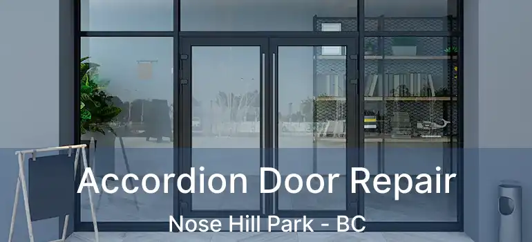  Accordion Door Repair Nose Hill Park - BC