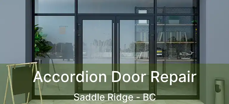  Accordion Door Repair Saddle Ridge - BC