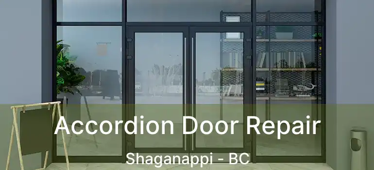  Accordion Door Repair Shaganappi - BC