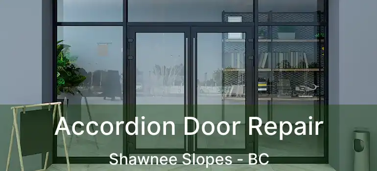  Accordion Door Repair Shawnee Slopes - BC