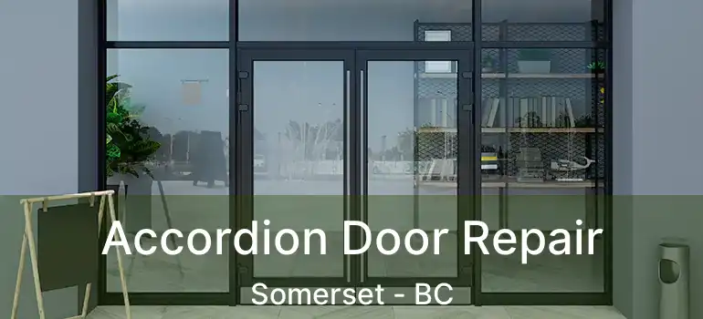  Accordion Door Repair Somerset - BC