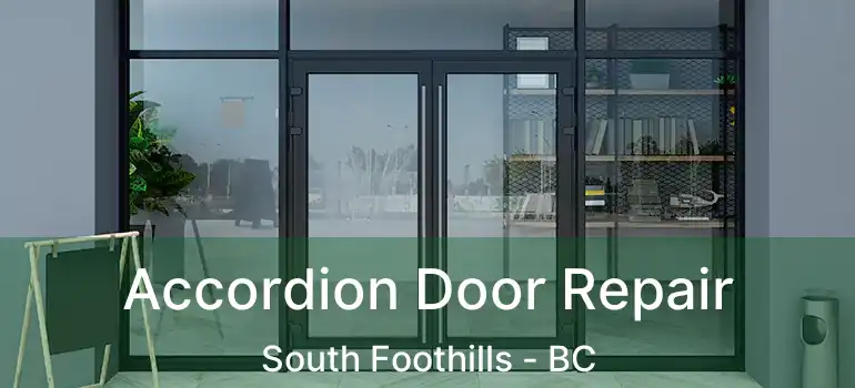  Accordion Door Repair South Foothills - BC