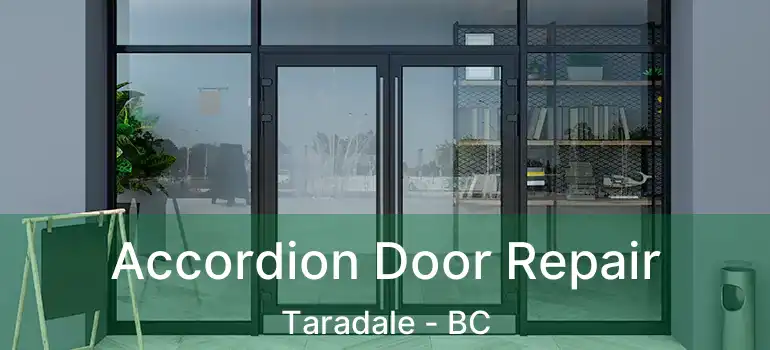  Accordion Door Repair Taradale - BC