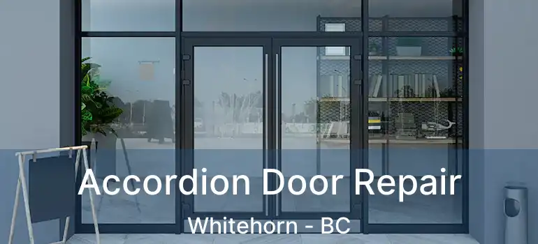  Accordion Door Repair Whitehorn - BC