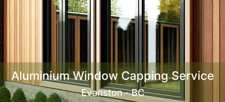  Aluminium Window Capping Service Evanston - BC