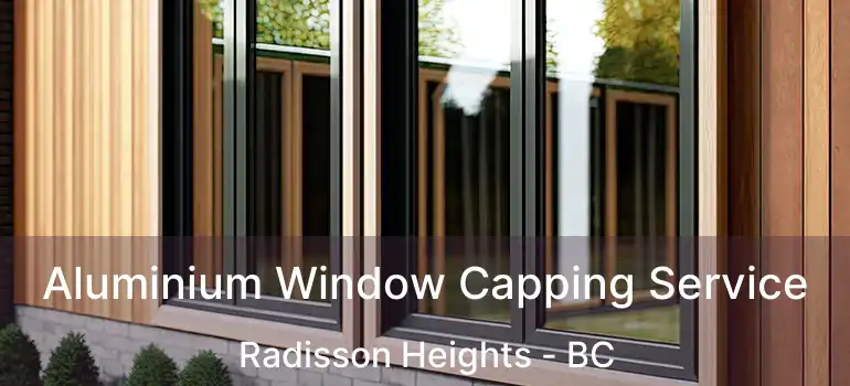  Aluminium Window Capping Service Radisson Heights - BC