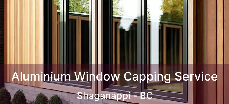  Aluminium Window Capping Service Shaganappi - BC