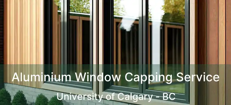  Aluminium Window Capping Service University of Calgary - BC