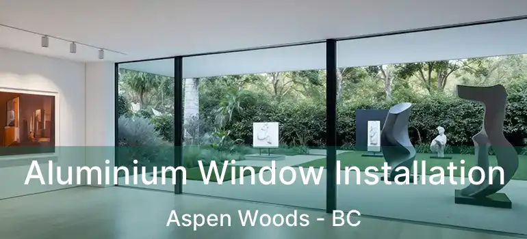  Aluminium Window Installation Aspen Woods - BC