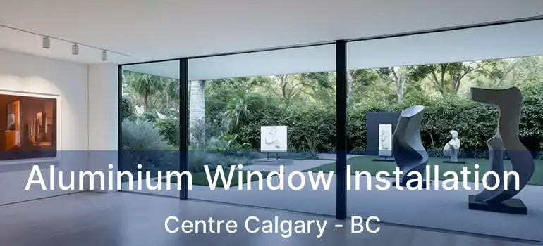 Aluminium Window Installation Centre Calgary - BC