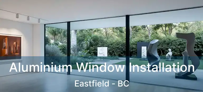  Aluminium Window Installation Eastfield - BC