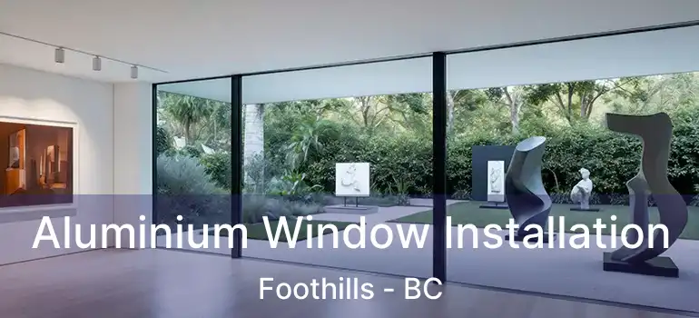  Aluminium Window Installation Foothills - BC