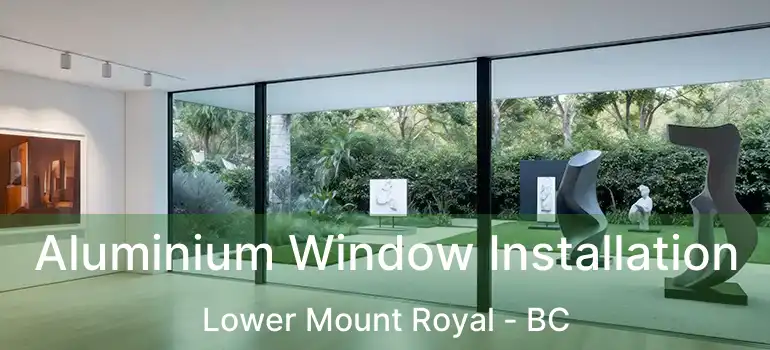  Aluminium Window Installation Lower Mount Royal - BC