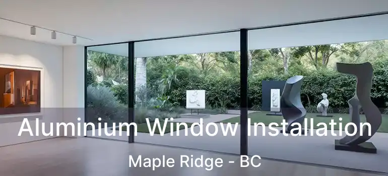  Aluminium Window Installation Maple Ridge - BC