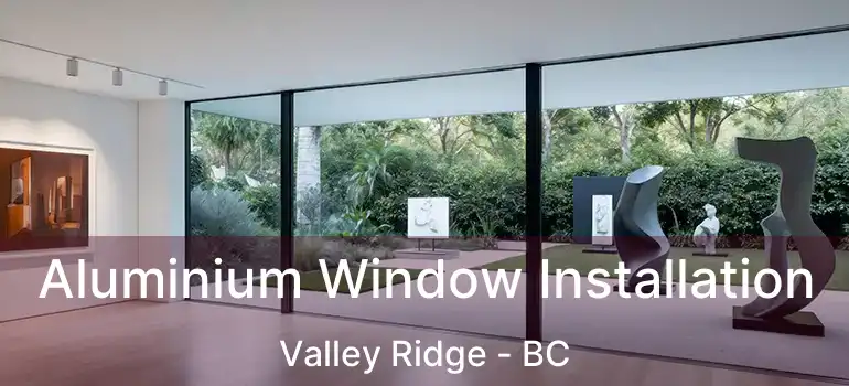  Aluminium Window Installation Valley Ridge - BC
