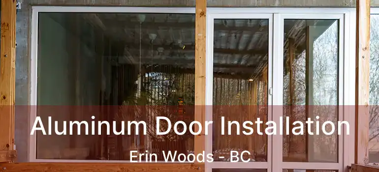  Aluminum Door Installation Erin Woods - BC