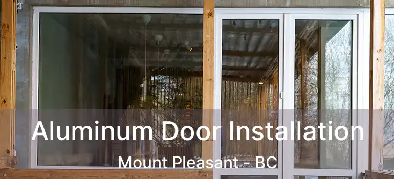  Aluminum Door Installation Mount Pleasant - BC