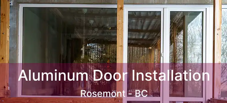 Aluminum Door Installation Rosemont - BC