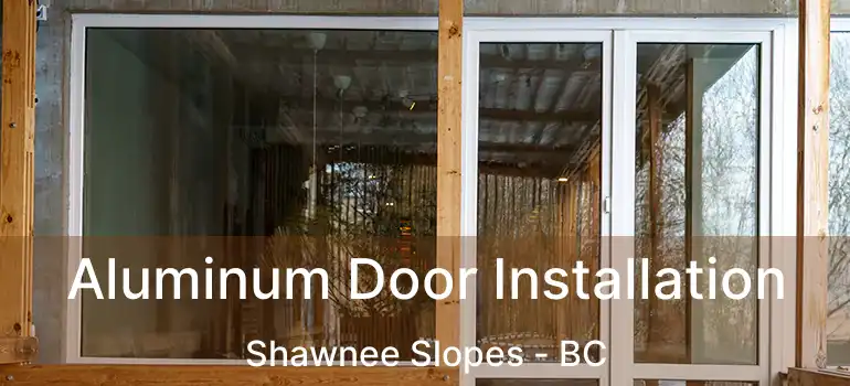  Aluminum Door Installation Shawnee Slopes - BC