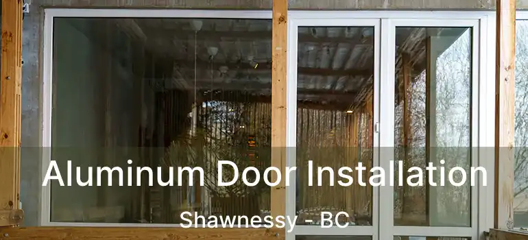  Aluminum Door Installation Shawnessy - BC