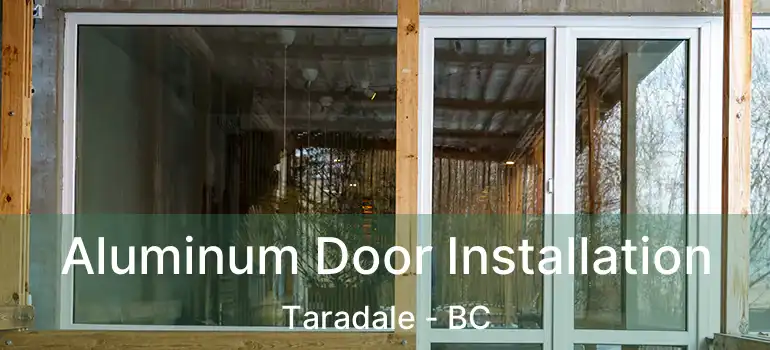  Aluminum Door Installation Taradale - BC