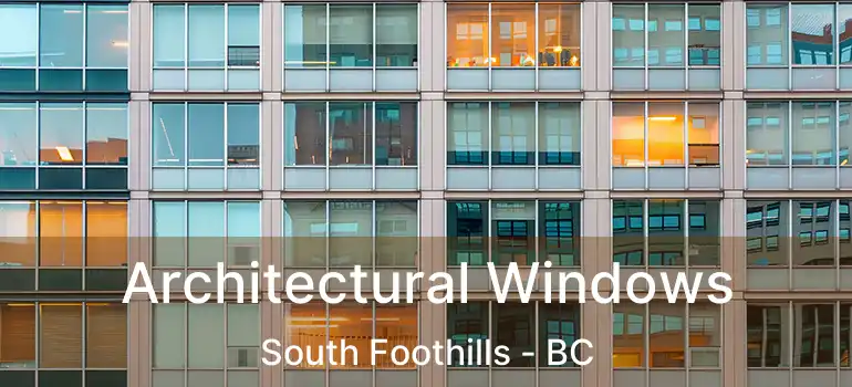  Architectural Windows South Foothills - BC