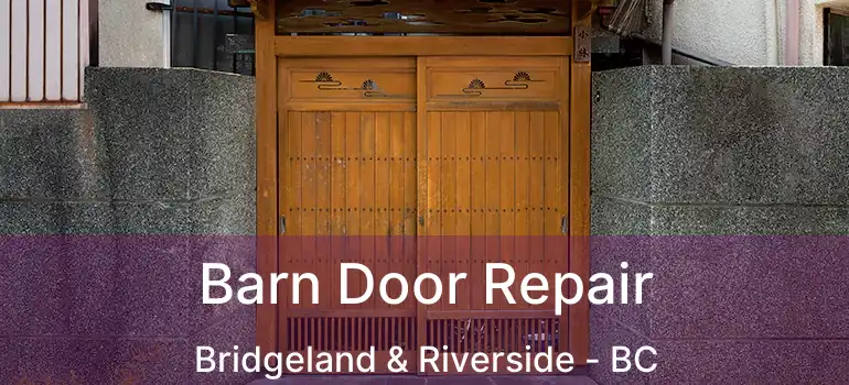  Barn Door Repair Bridgeland & Riverside - BC