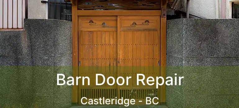  Barn Door Repair Castleridge - BC
