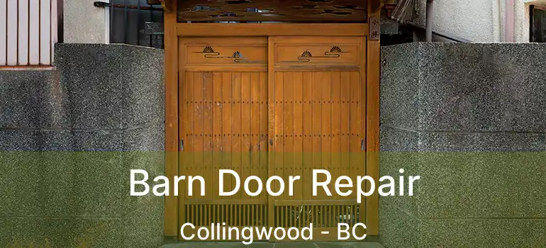  Barn Door Repair Collingwood - BC