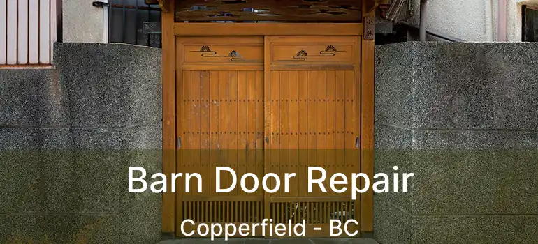  Barn Door Repair Copperfield - BC