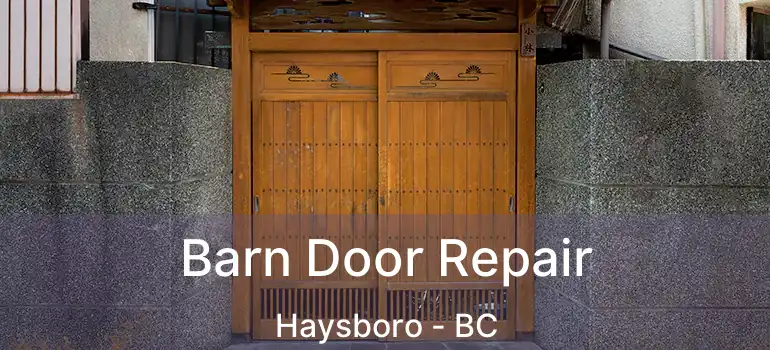  Barn Door Repair Haysboro - BC