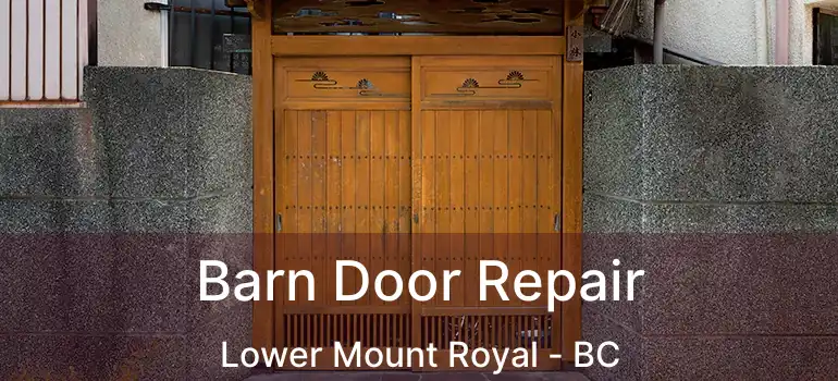  Barn Door Repair Lower Mount Royal - BC