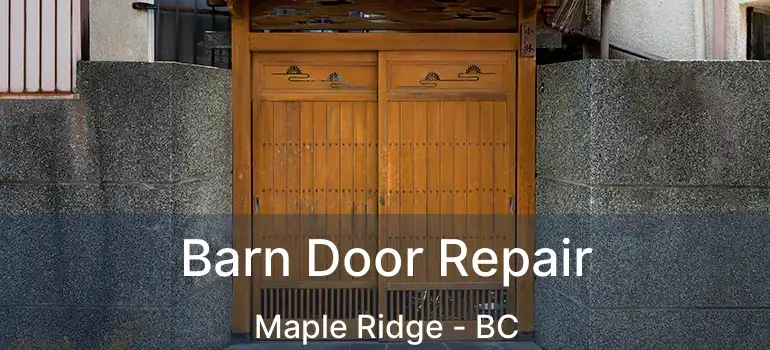  Barn Door Repair Maple Ridge - BC
