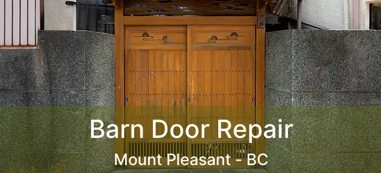  Barn Door Repair Mount Pleasant - BC