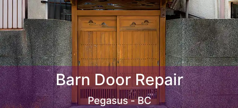  Barn Door Repair Pegasus - BC
