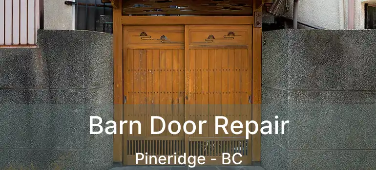  Barn Door Repair Pineridge - BC