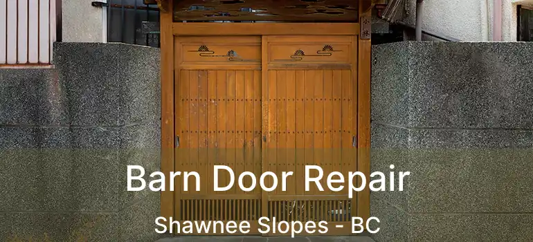  Barn Door Repair Shawnee Slopes - BC