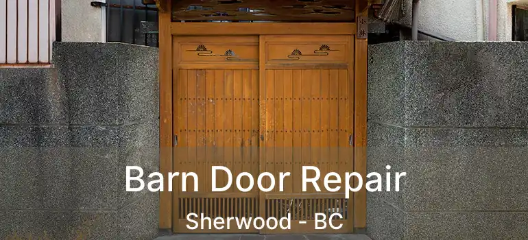  Barn Door Repair Sherwood - BC