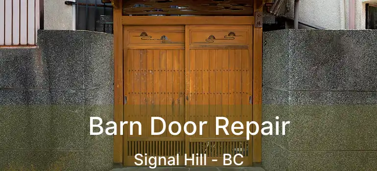 Barn Door Repair Signal Hill - BC