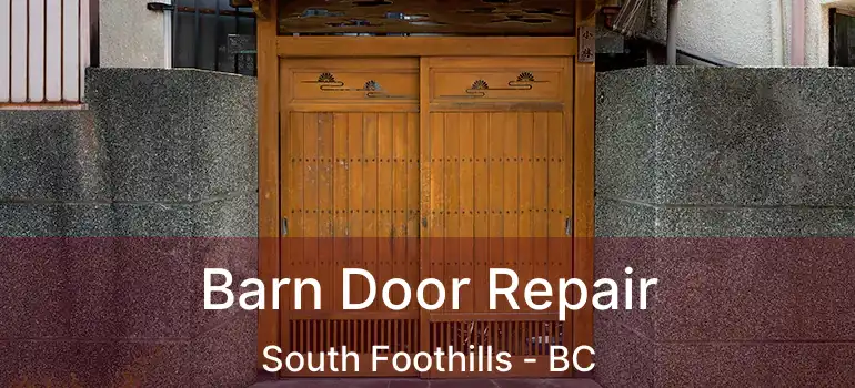  Barn Door Repair South Foothills - BC