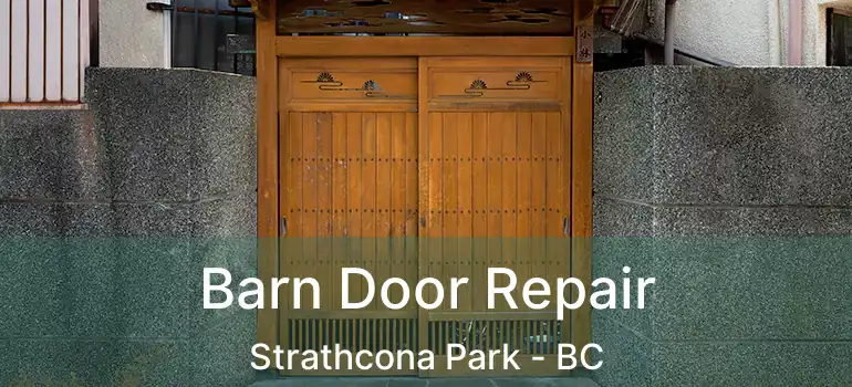  Barn Door Repair Strathcona Park - BC