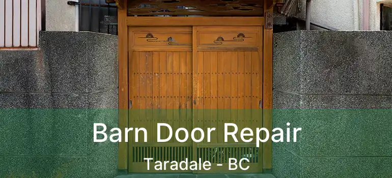  Barn Door Repair Taradale - BC