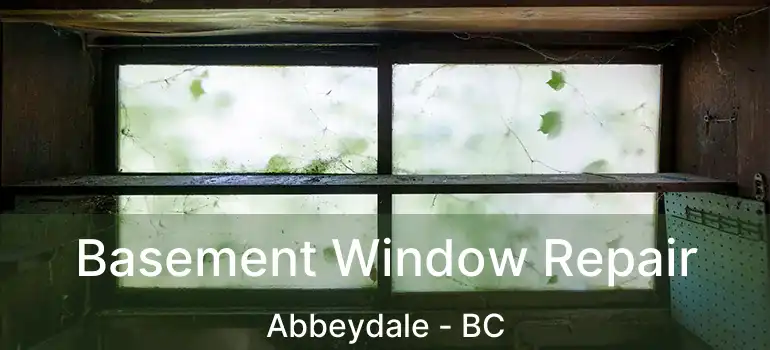  Basement Window Repair Abbeydale - BC