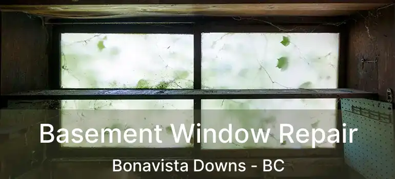  Basement Window Repair Bonavista Downs - BC